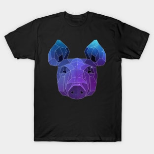 Galaxy Pig T-Shirt